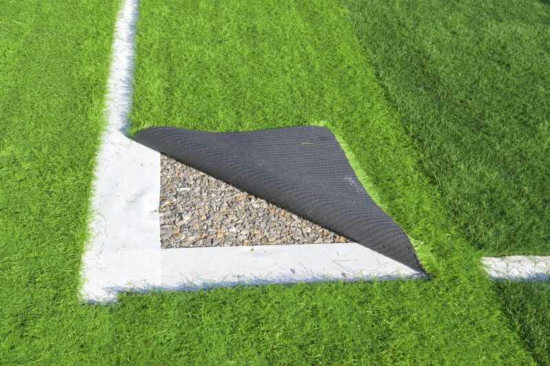 Commercial Artificial Grass Vs Natural Landscaping