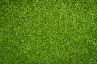Low-Maintenance Commercial Landscaping With Artificial Grass