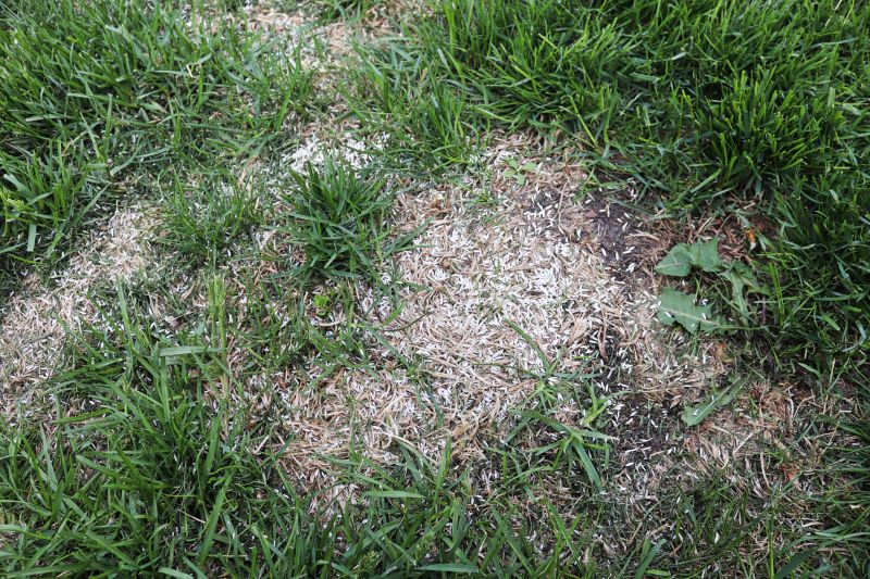 Repairing Seams And Edges In Artificial Grass